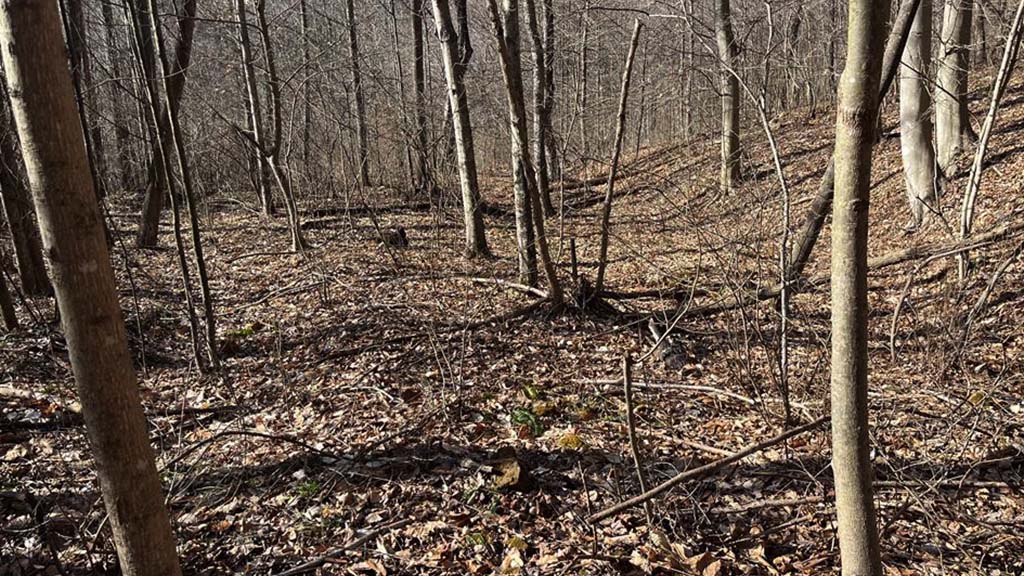 Hickson Run Road, Chillicothe, Ohio